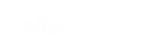Andestral.cl - Home